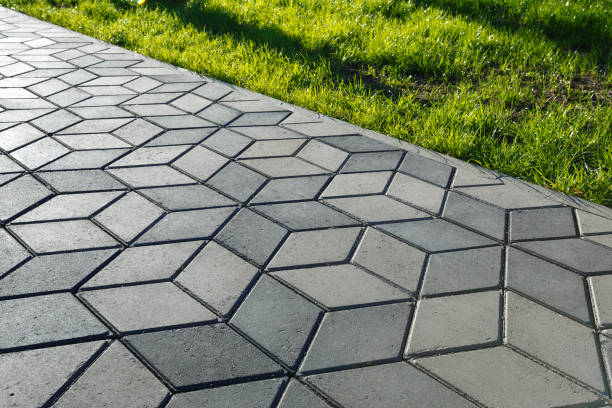 Best Local Driveway Pavers  in Rose Valley, PA